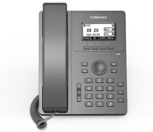 [P10G] FLYINGVOICE - P10G